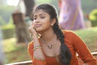 Amala Paul New Photos